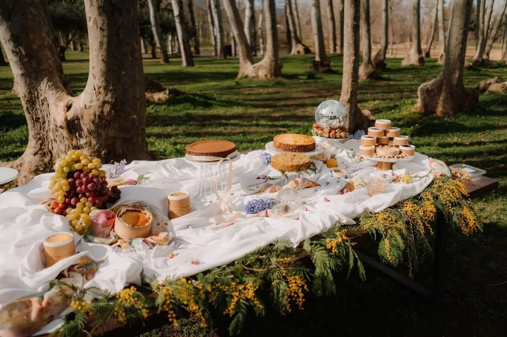 Mesa dulce de CHICA al aire libre con cheesecakes enteras, minis y fruta